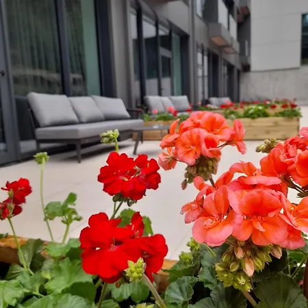 Pestera Wellness & Hotel 5*